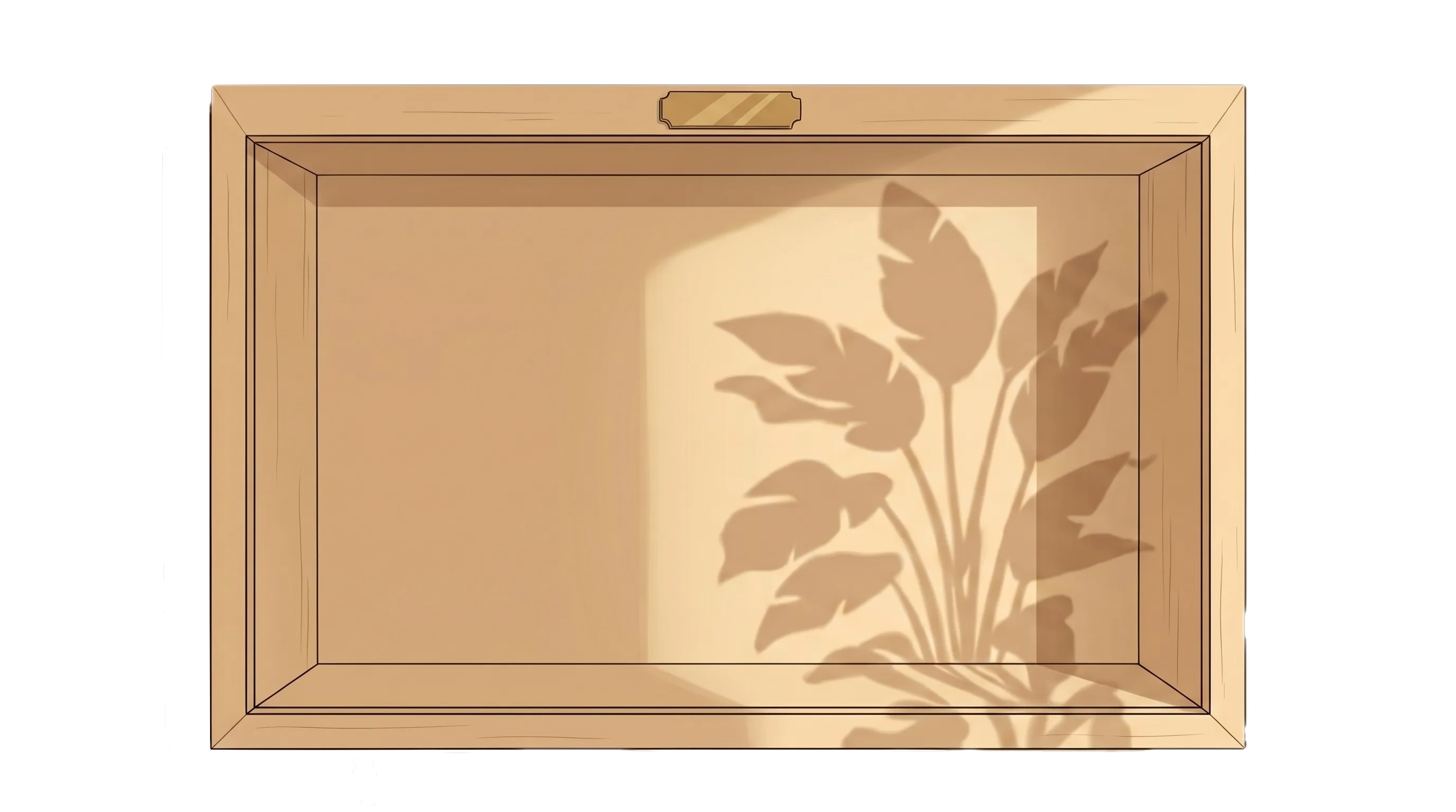 trophy case